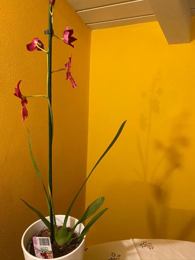 La Casa Di Andrea Appartement Gardone Riviera Buitenkant foto
